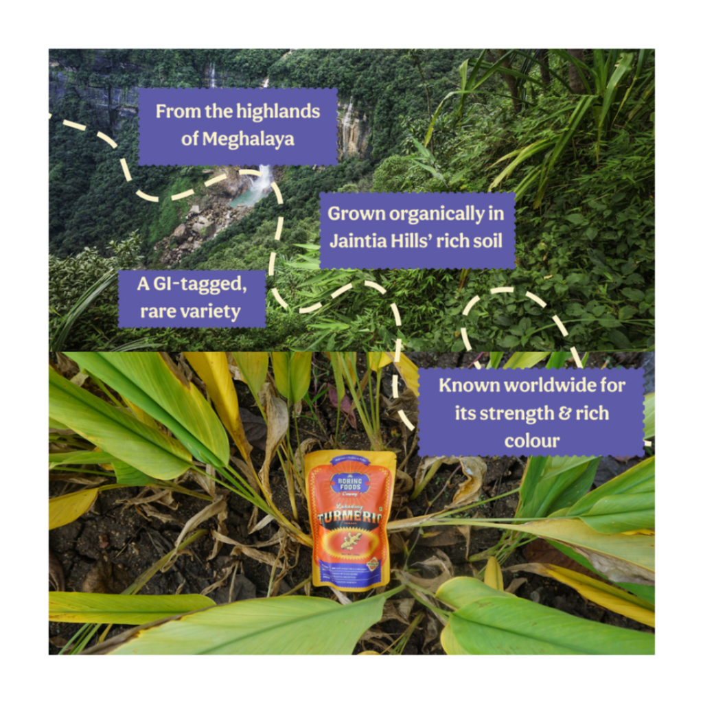 Lakadong Turmeric Powder