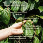 Karimunda Black Pepper Powder