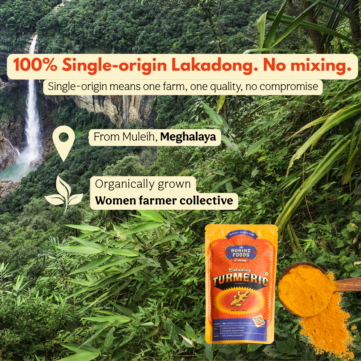Lakadong Turmeric Powder