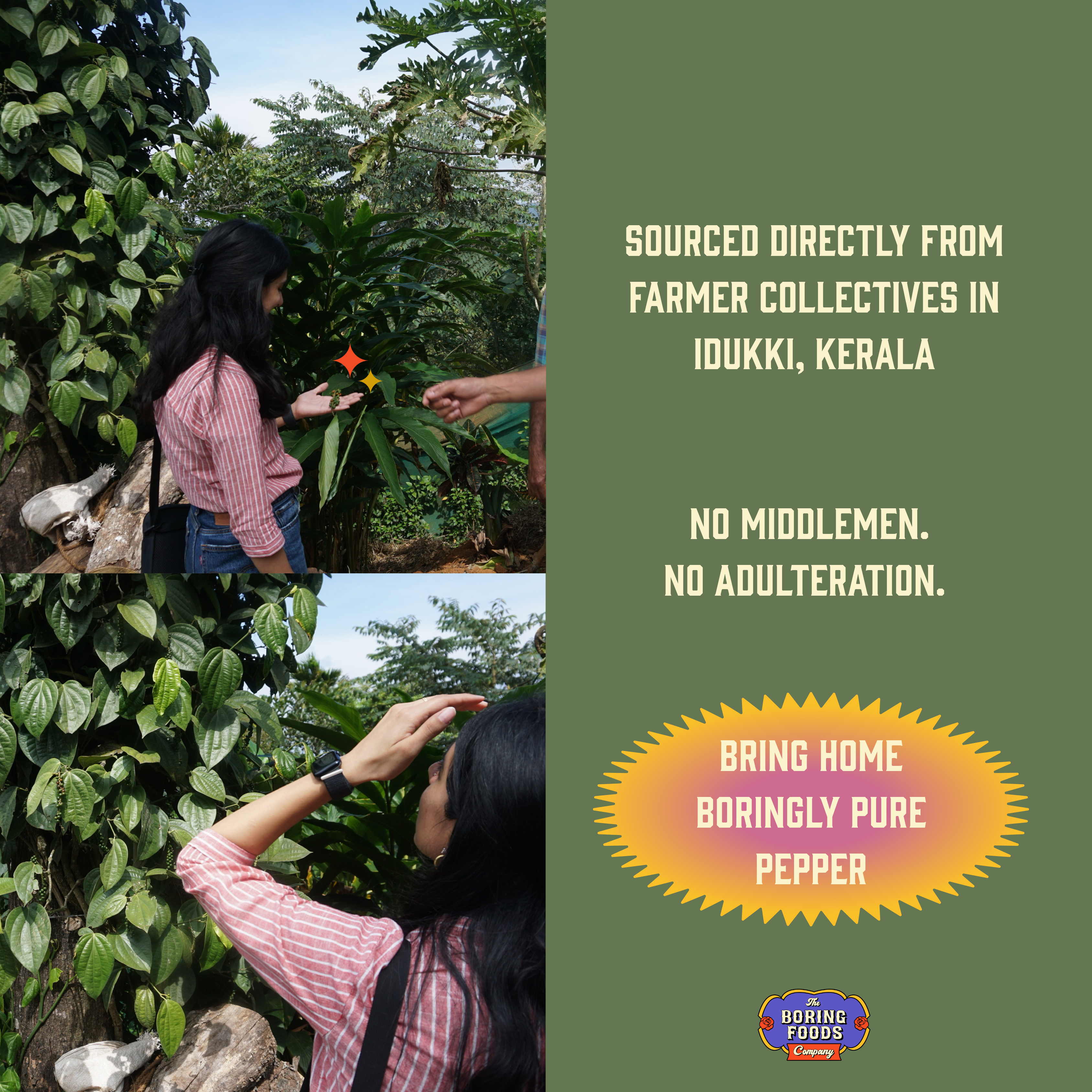 Karimunda Black Pepper Powder